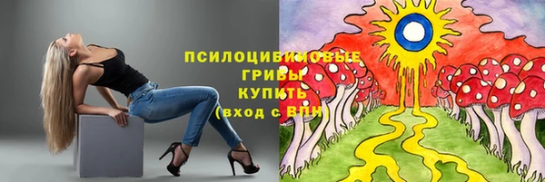 хмурый Армянск